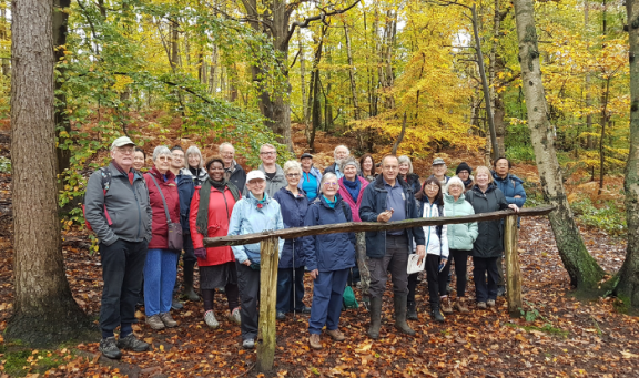 Autumn walk on Esher Common