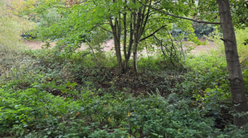 Brooklands flood alleviation pond
