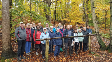 Autumn walk on Esher Common